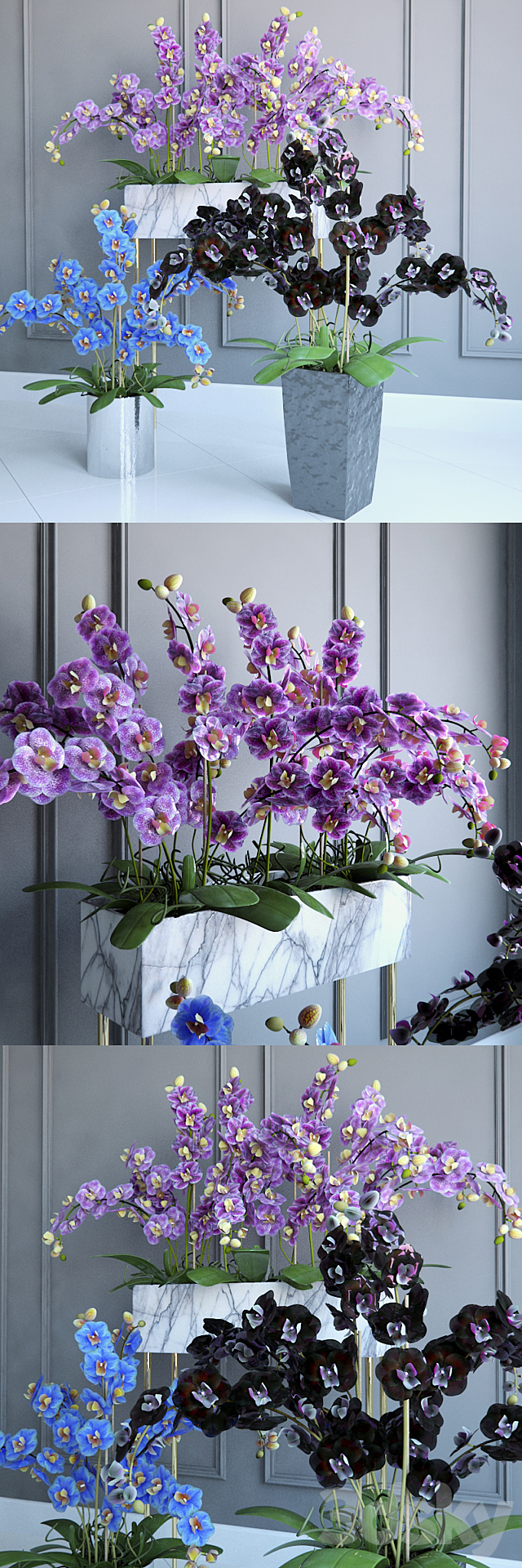 Phalaenopsis Orchids Set – 2 3DSMax File - thumbnail 2