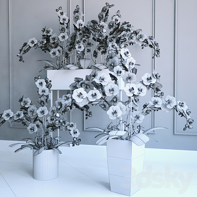 Phalaenopsis Orchids Set – 2 3DSMax File - thumbnail 3