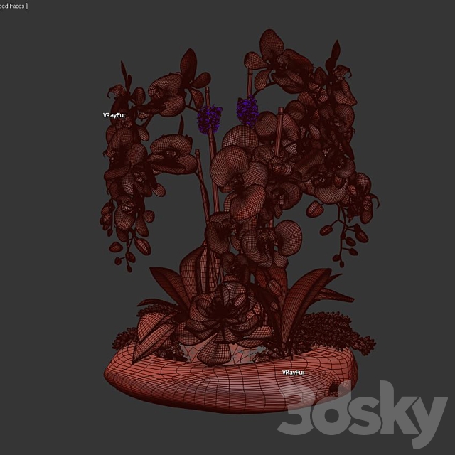 Phalaenopsis Silk Orchids 3DSMax File - thumbnail 3