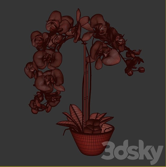 Phalaenopsis Silk White Orchid in Glass Vase 3DS Max Model - thumbnail 3