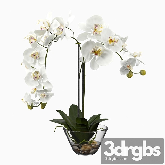 Phalaenopsis silk white orchid in glass vase - thumbnail 1