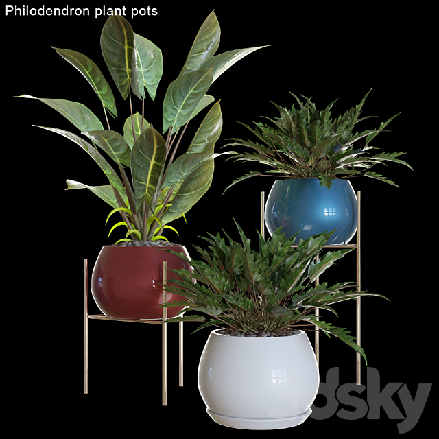 Philodendron plant pots # 2 3DSMax File - thumbnail 1