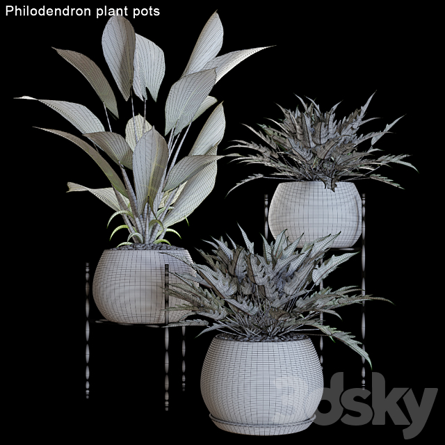 Philodendron plant pots # 2 3DSMax File - thumbnail 2