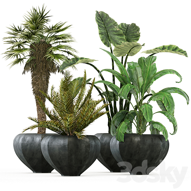 plant-01 3ds Max - thumbnail 1