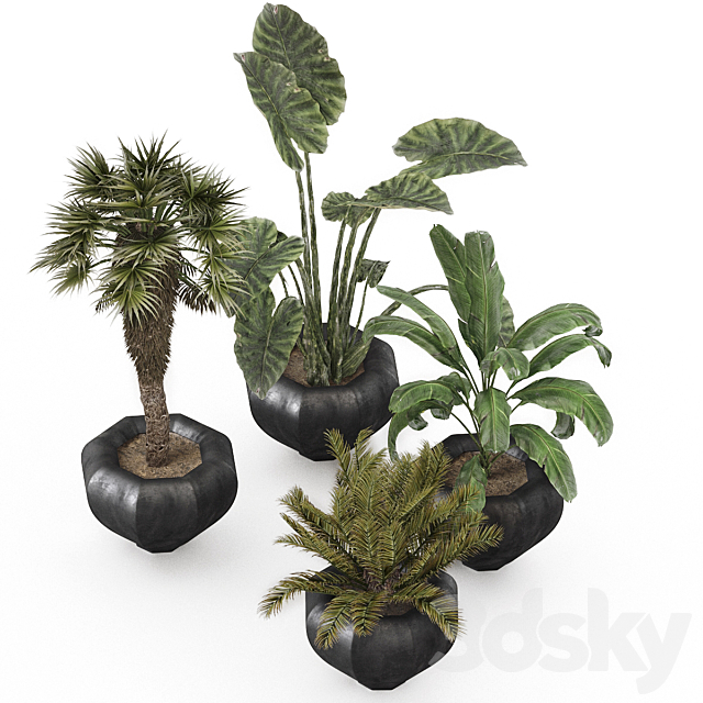 plant-01 3ds Max - thumbnail 2