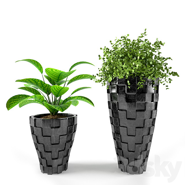 PLANT 02 3DSMax File - thumbnail 1