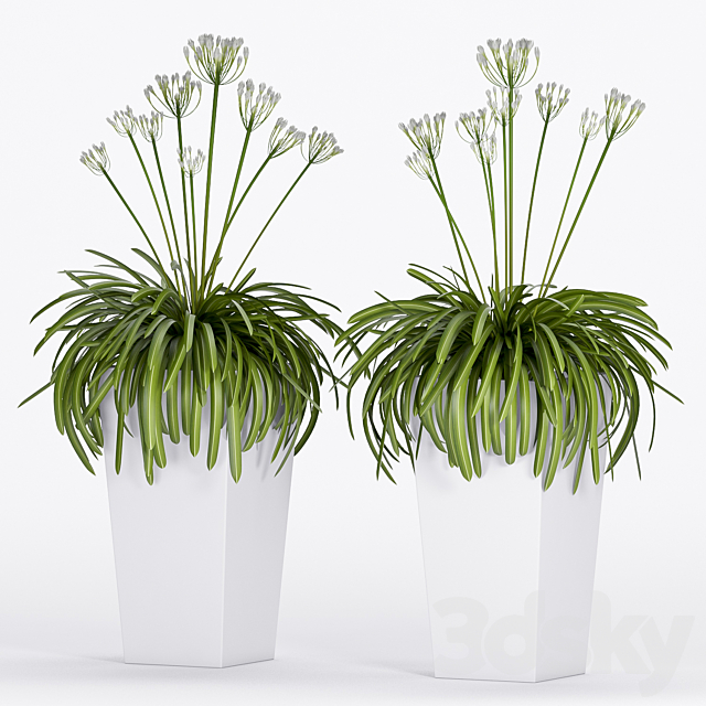 PLANT -16 3DSMax File - thumbnail 2