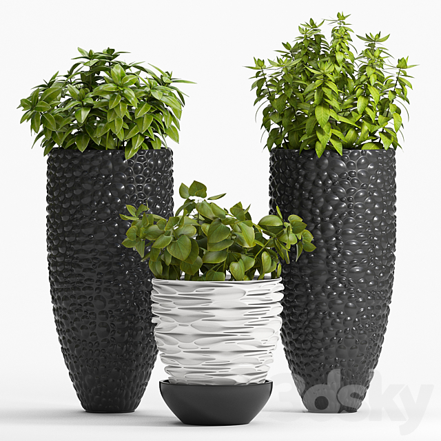 PLANT -20 3DSMax File - thumbnail 1