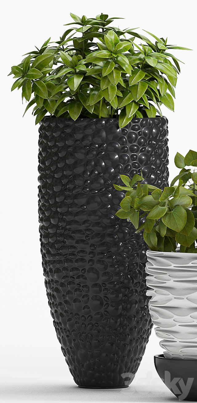 PLANT -20 3DSMax File - thumbnail 2