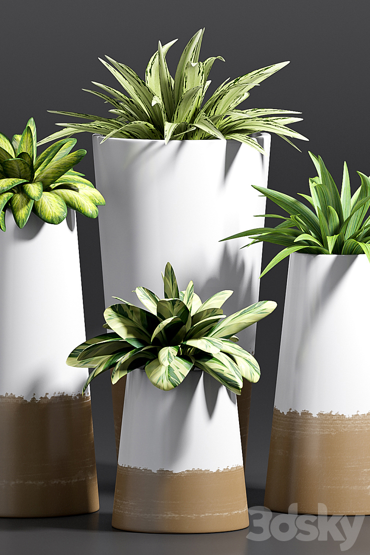 PLANT -28 3DS Max - thumbnail 2