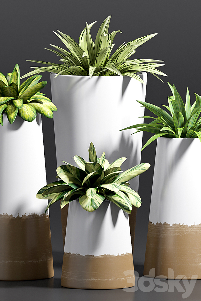 PLANT -28 3DSMax File - thumbnail 2