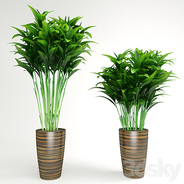 plant 3DS Max - thumbnail 1