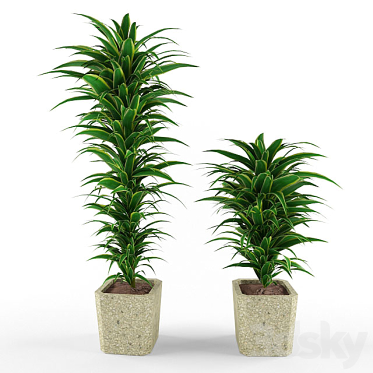 plant 3DS Max - thumbnail 1