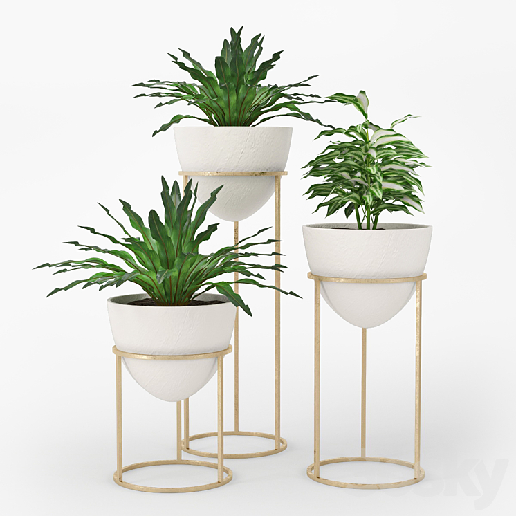 Plant 3DS Max - thumbnail 1