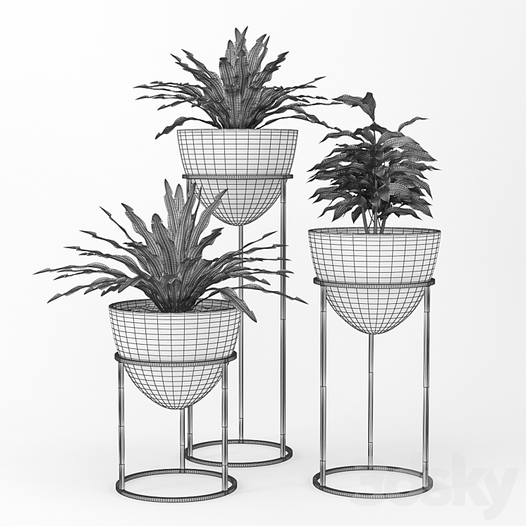 Plant 3DS Max - thumbnail 2