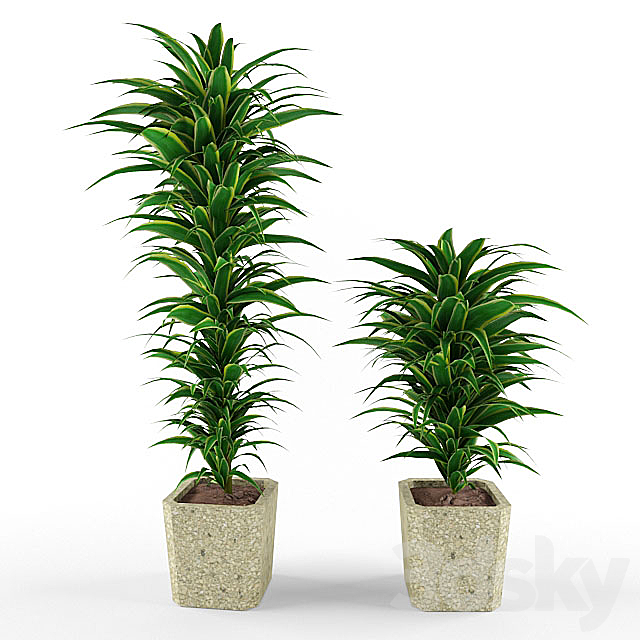 plant 3DSMax File - thumbnail 1