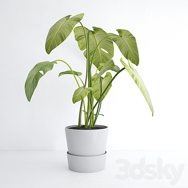 plant 3DSMax File - thumbnail 1