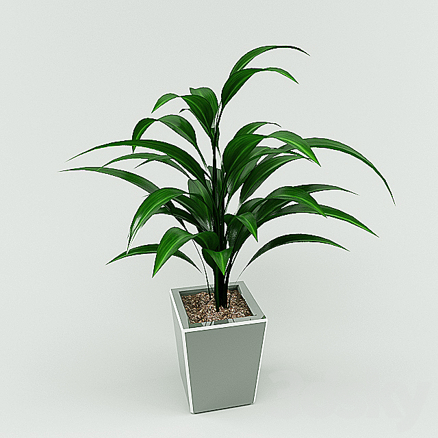 plant 3DSMax File - thumbnail 1