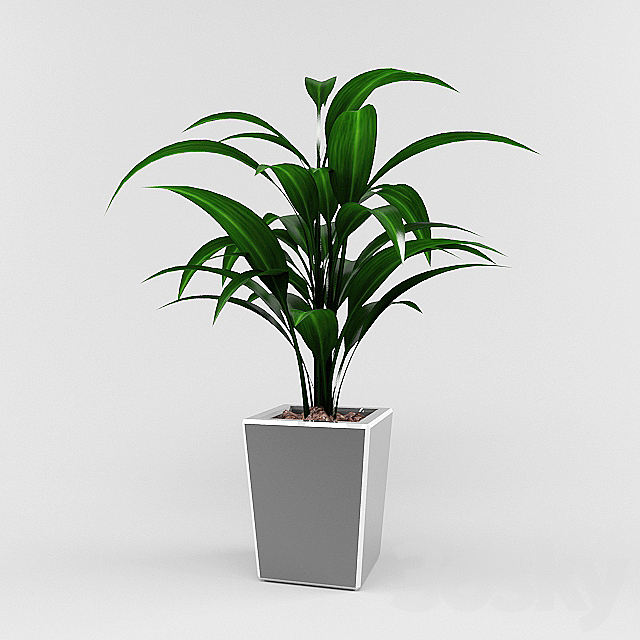 plant 3DSMax File - thumbnail 2