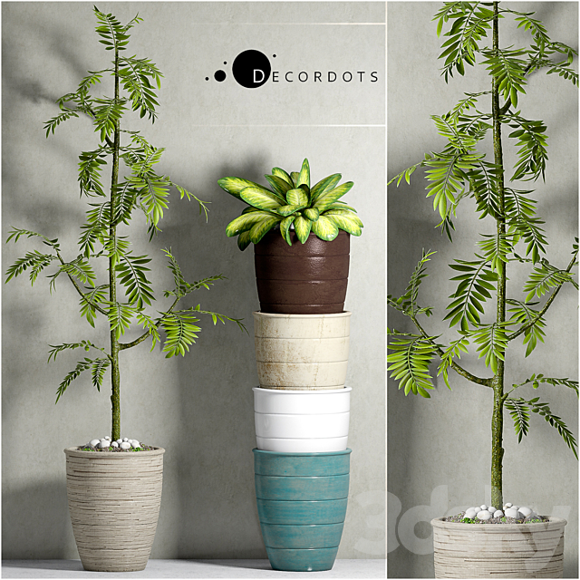 PLANT-41 3DSMax File - thumbnail 1