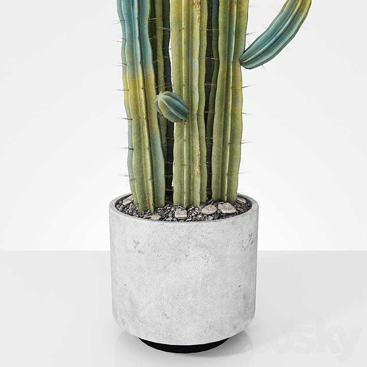 Plant 6 3DS Max - thumbnail 2