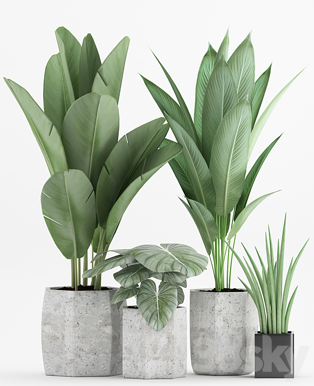 Plant 70 3DSMax File - thumbnail 2