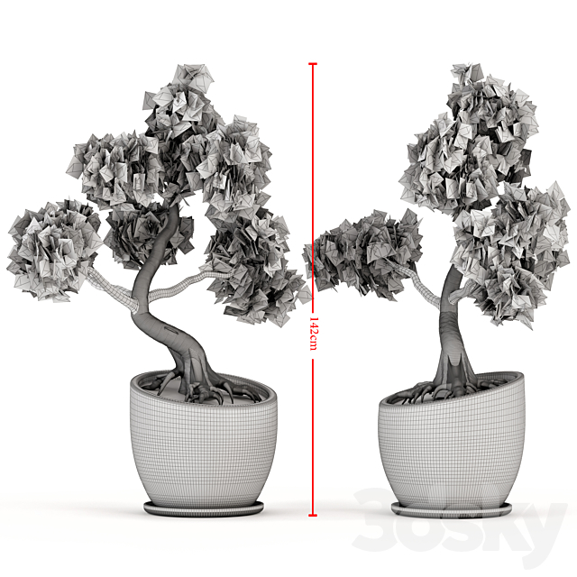 Plant bonsai-01 3DS Max Model - thumbnail 4