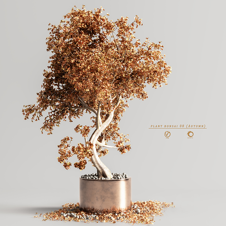 plant bonsai 08 (Autumn) 3DS Max Model - thumbnail 1