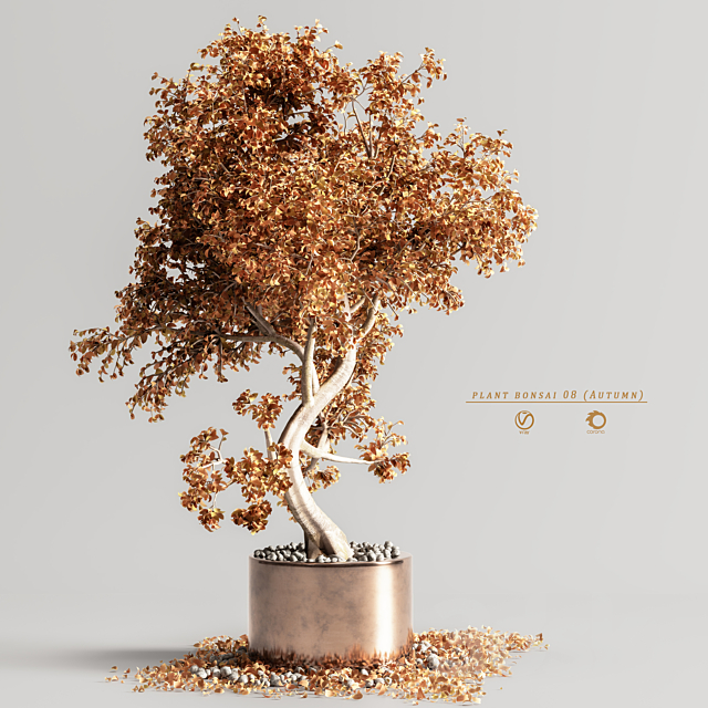 plant bonsai 08 (Autumn) 3ds Max - thumbnail 1