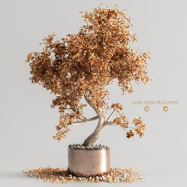 plant bonsai 08 (Autumn) 3ds Max - thumbnail 2