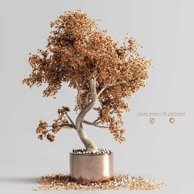 plant bonsai 08 (Autumn) 3ds Max - thumbnail 3