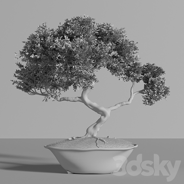 plant bonsai02 3DSMax File - thumbnail 4