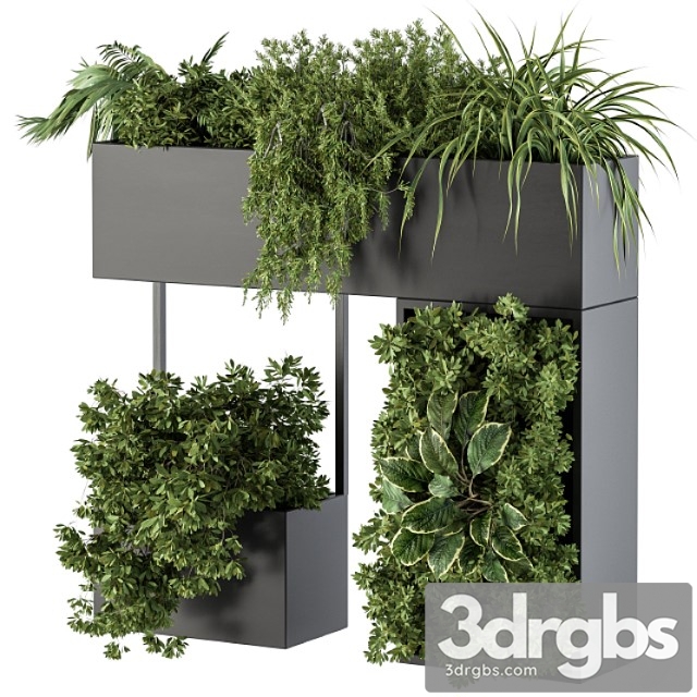 Plant box on wall – indoor plants 300 - thumbnail 1