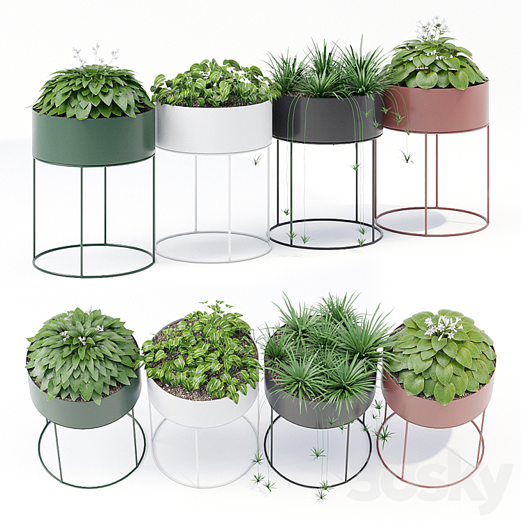 Plant box round 3DS Max - thumbnail 1