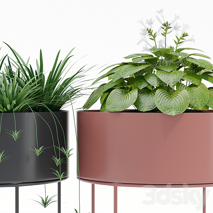 Plant box round 3DS Max - thumbnail 2