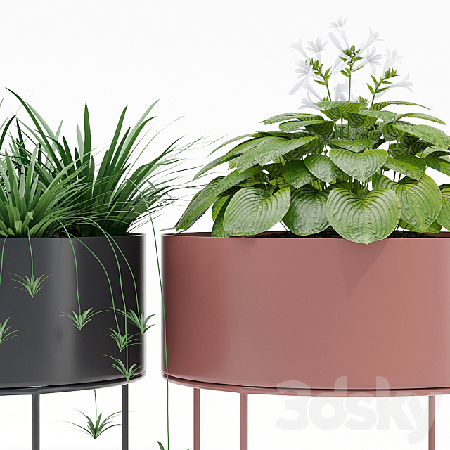 Plant box round 3DSMax File - thumbnail 2