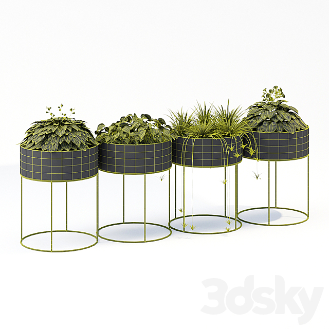 Plant box round 3DSMax File - thumbnail 3