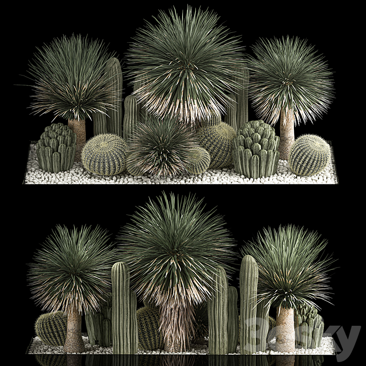 Plant collection 1116. Desert Plants Gravel Yucca Dracaena Pebble Cactus Garden Cereus Round Cactus Landscaping Barrel cactus 3DS Max Model - thumbnail 1