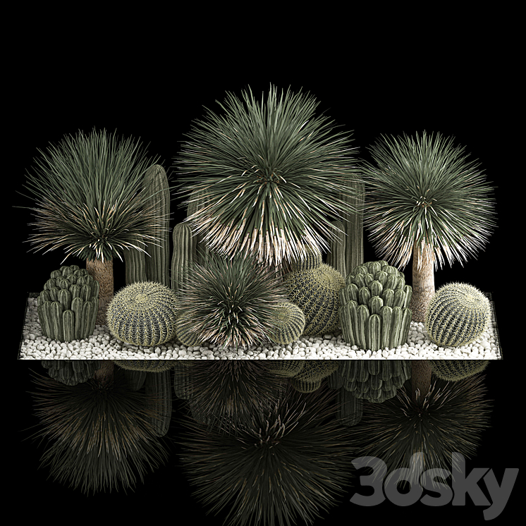 Plant collection 1116. Desert Plants Gravel Yucca Dracaena Pebble Cactus Garden Cereus Round Cactus Landscaping Barrel cactus 3DS Max Model - thumbnail 2