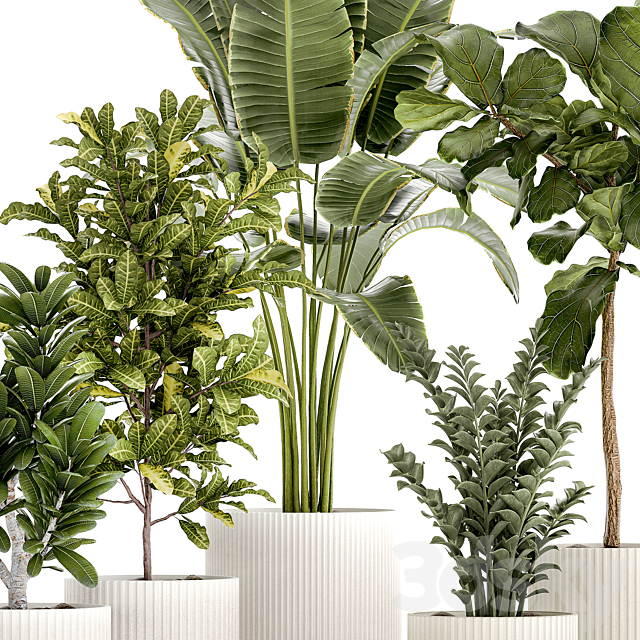 Plant collection 1407 3DS Max Model - thumbnail 5