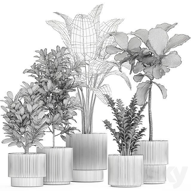 Plant collection 1407 3DS Max Model - thumbnail 6