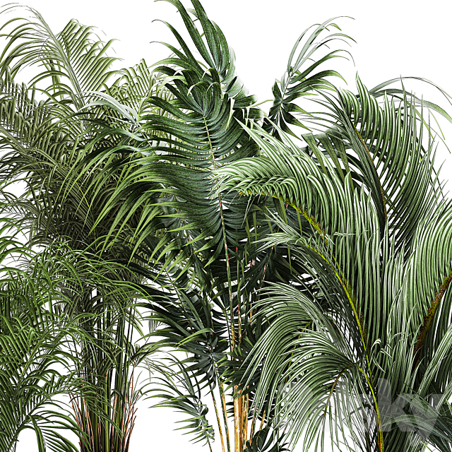 Plant collection 1408 3ds Max - thumbnail 2