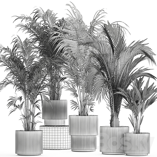 Plant collection 1408 3DS Max Model - thumbnail 7