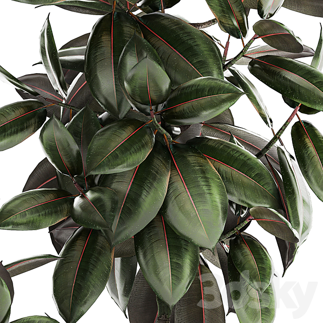 Plant collection 1432 3DS Max Model - thumbnail 2