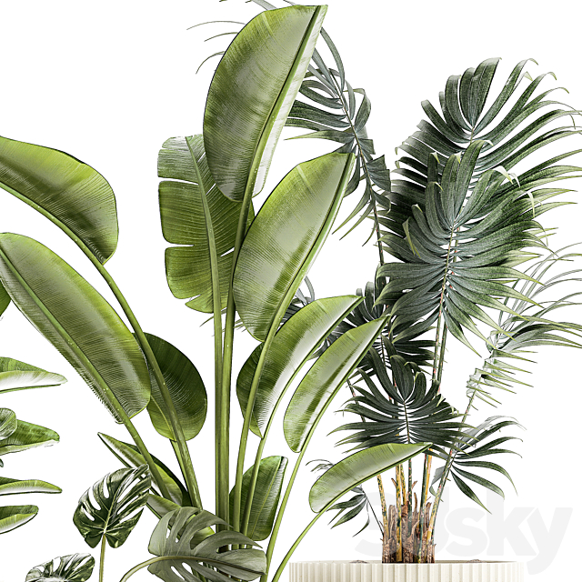 Plant collection 1465 3ds Max - thumbnail 2