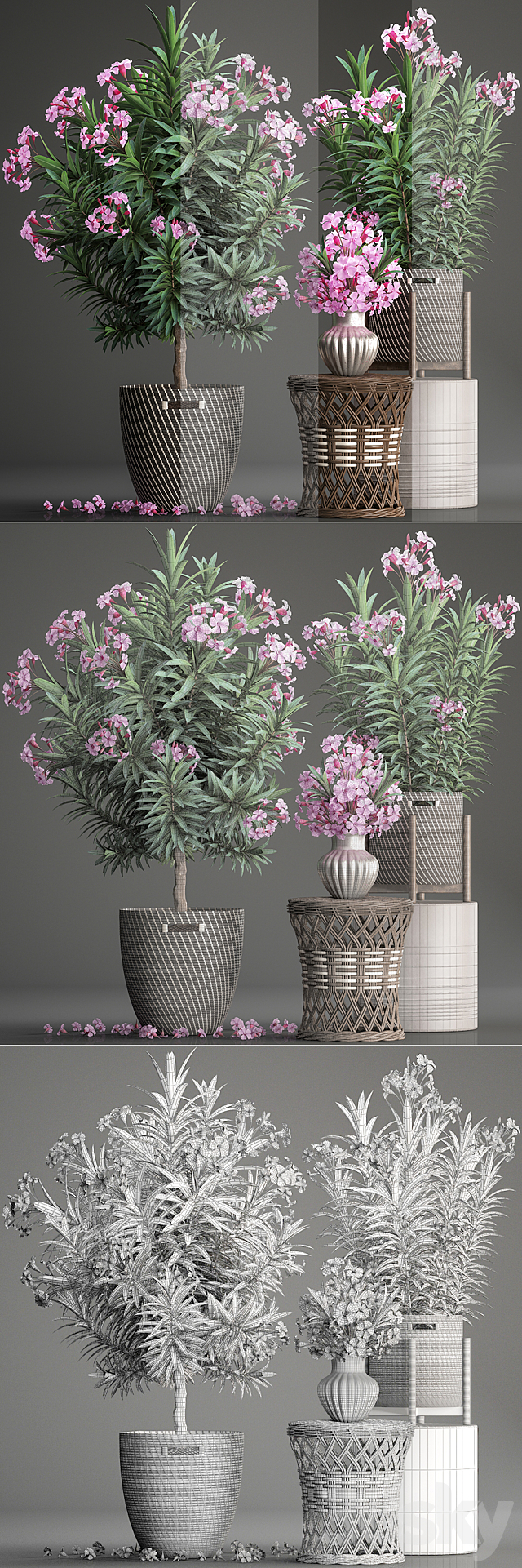 Plant collection 268. Oleander. tree. bush. basket. rattan table. flower bouquet. outdoor flowerpot. landscaping. garden. flowering tree 3DSMax File - thumbnail 3