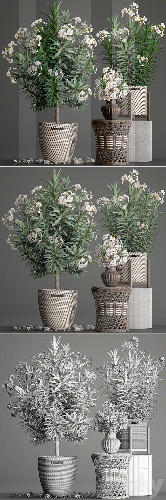 Plant collection 269. Nerium oleander. Oleander. white basket. flowering tree. white flowers. rattan table. outdoor. garden. park. landscape design. eco 3DSMax File - thumbnail 3