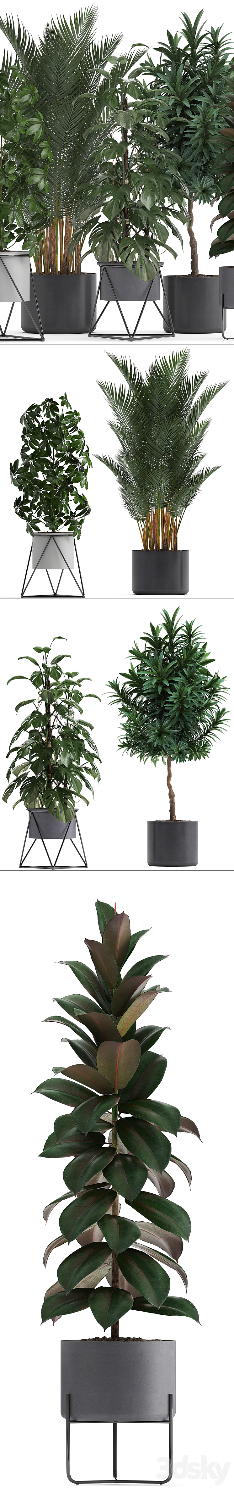 Plant collection 284. Palm Ficus monstera indoor plants shefflera pot stylish flowerpot ficus abidjan Scandinavian style 3DS Max - thumbnail 2