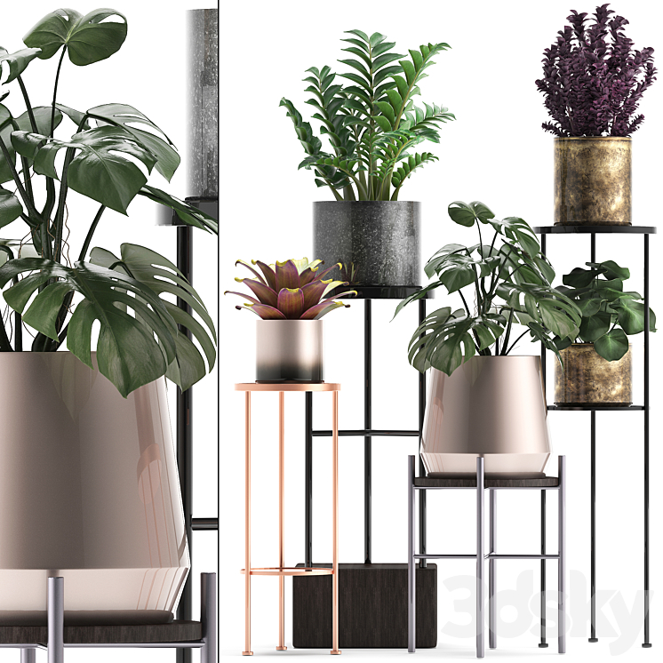 Plant collection 286. Flower shelf pot monstera bromeliad Zamioculcas luxury small plants stand 3DS Max - thumbnail 1