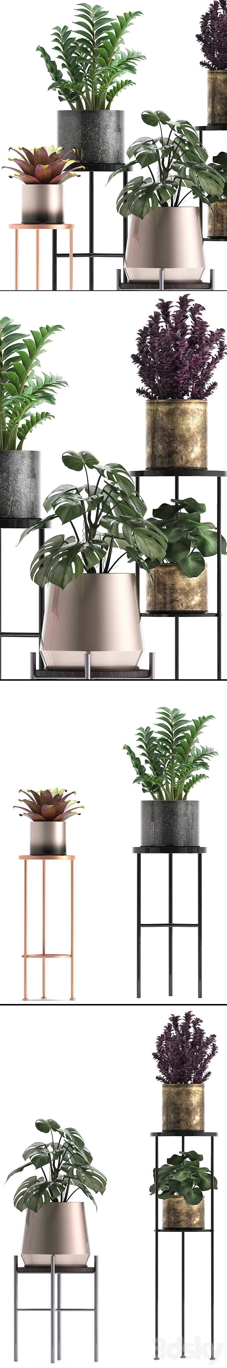 Plant collection 286. Flower shelf pot monstera bromeliad Zamioculcas luxury small plants stand 3DS Max - thumbnail 2